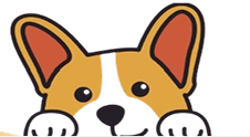 dog image